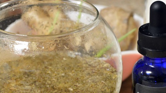 Juez ordenó a una obra social que suministre marihuana medicinal a un nene de un año y medio