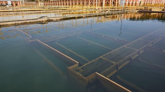 Las explicaciones de Aysa sobre el mal olor y sabor del agua en Buenos Aires