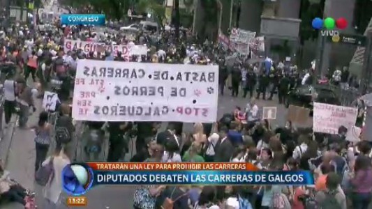 Debate en Diputados para prohibir las carreras de galgos