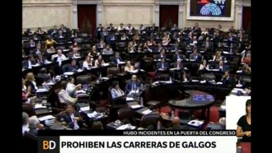 Es ley la prohibición de las carreras de galgos