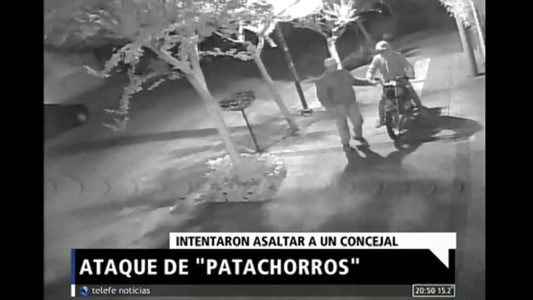 Ataque de "patachorros"
