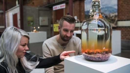 Vino de excrementos, vodka con escorpión y ginebra de hormigas rojas: curiosa exposición sobre bebidas alcohólicas