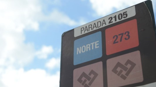 Cuatro líneas de colectivos paran miércoles y jueves en La Plata