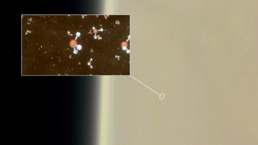 ¿Qué es la materia viva que se encontró en Venus? Una breve explicación