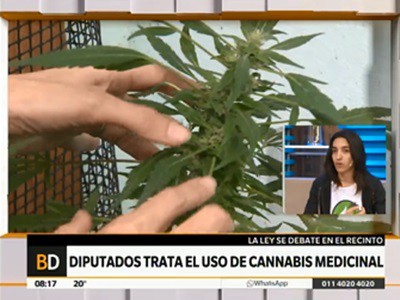 "El cannabis es vida para nuestros hijos"