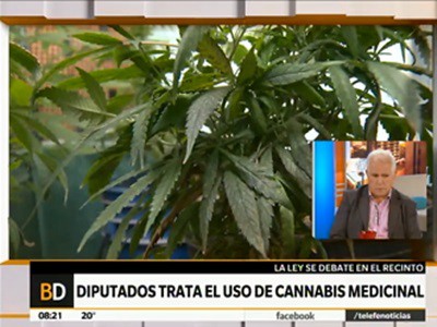 Cannabis medicinal: "que los políticos entiendan a las familias y se pongan a la altura"