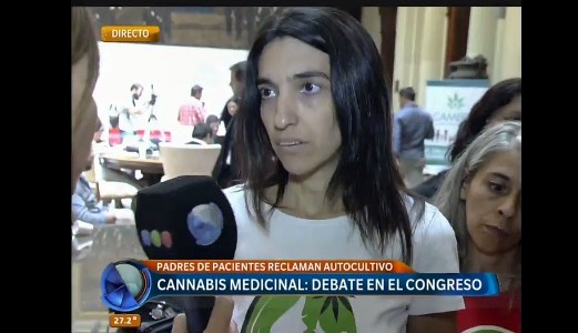 Cannabis medicinal: "Esto se trata desde la seguridad cuando es un tema de salud"