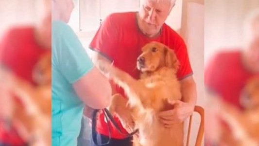 Video: perra empachada agradece que la hayan curado