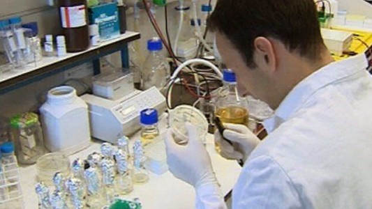 Pruebas PISA: participá con estas preguntas modelos