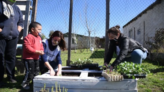 Instalaron un centenar de huertas comunitarias en los barrios de La Plata