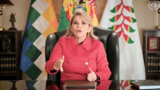 Añez acusó a la Argentina de "acoso sistemático" ante la ONU