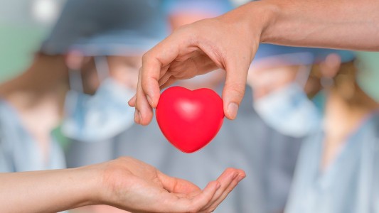 Con una historieta concientizan a los alumnos sobre la donación de órganos