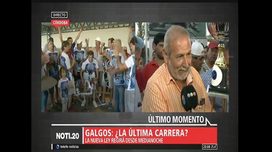 ¿Ultima carrera de galgos? sigue la polémica a pesar de la ley que las prohíbe