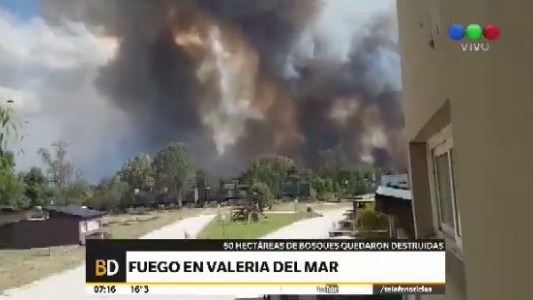 Sergio Bergman: "El incendio en Pinamar fue intencional"