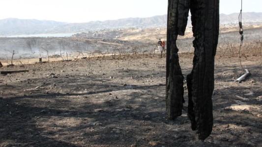 Córdoba: así quedó el paisaje arrasado por el fuego en Santa Cruz del Lago