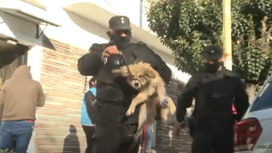 Policía de la Ciudad rescató perros que sufrían maltrato en Villa Riachuelo