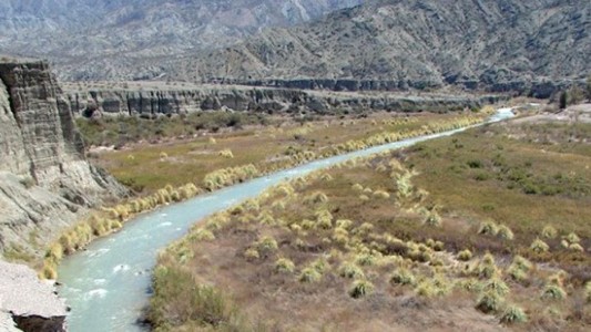 Nena de 5 años fue con su familia al río y murió al sufrir la picadura de un insecto