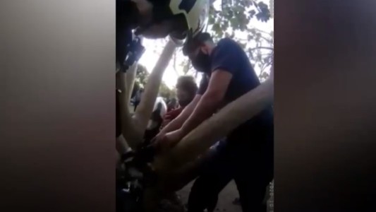 Bomberos con una motosierra rescatan a un nene atrapado en un árbol
