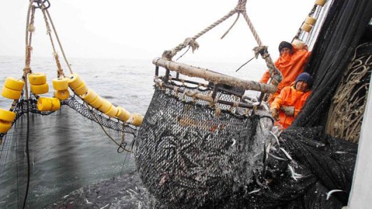 Fijan una veda de verano para la pesca de merluza