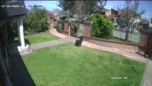 Evitó que le robaran motochorros lanzando su cartera sobre una reja