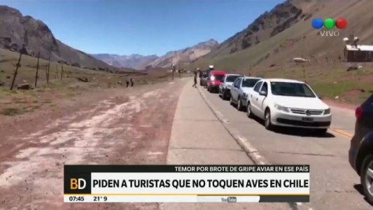 Alertan a turistas que van de compras a Chile por brote de gripe aviar