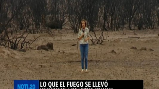 La Pampa: lo que el fuego se llevó