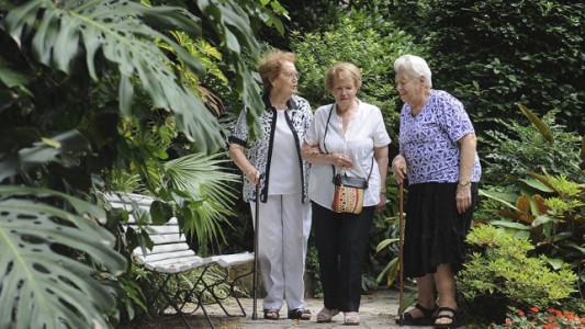 Vivir con amigos en la vejez, la tendencia mundial que suma adeptos en Argentina