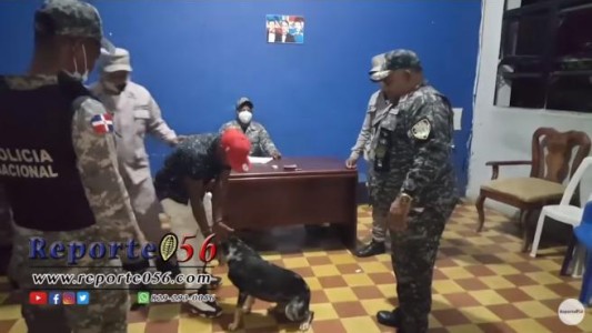 Video: el perro que logra que la policía libere a su dueño preso