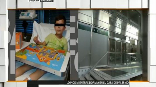 Podrían darle el alta al nene picado por un alacrán