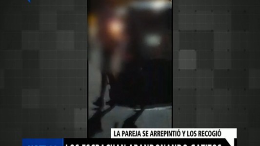 Los escracharon cuando abandonaban gatitos