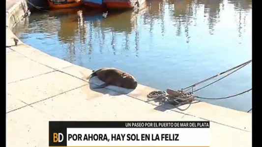 Un paseo por el puerto de Mar del Plata