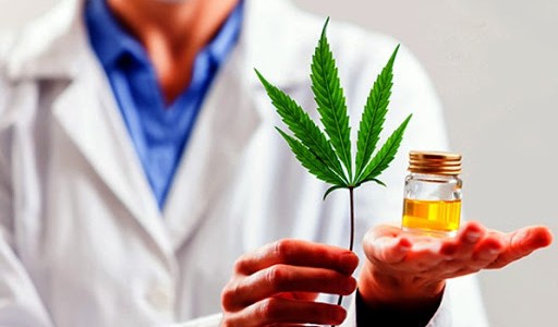 Dictamen favorable en la Legislatura porteña para la regulación del cannabis medicinal