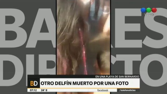 Dejaron morir a un delfín para sacarse fotos