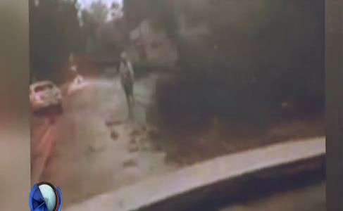 Daños que dejó el temporal en Pilar