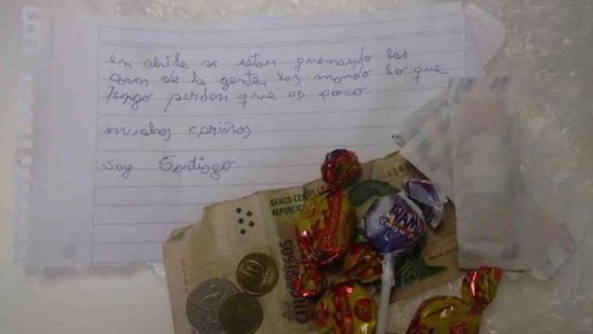 El chico argentino que emocionó a todos con su ayuda para Chile