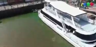 Cianobacterias: alerta por el agua verde en el Delta del Tigre y en Puerto Madero