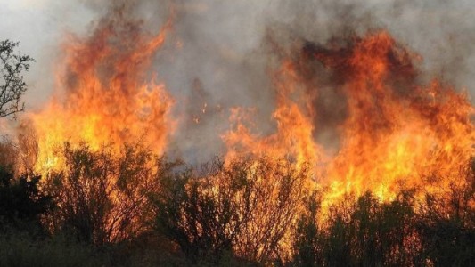 Un rayo provocó un incendio de 12 kilómetros en la reserva de La Payunia, en Mendoza