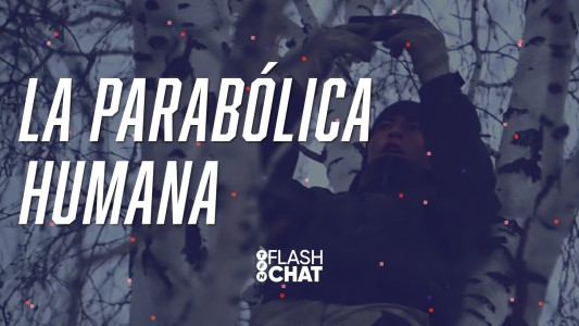 Un alumno ruso se sube a un árbol para poder estudiar durante la pandemia #FlashChat