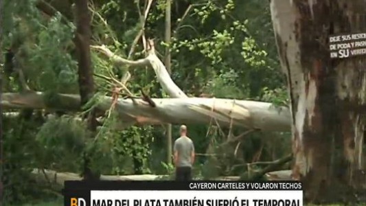 Mar del Plata: 35 evacuados por el temporal