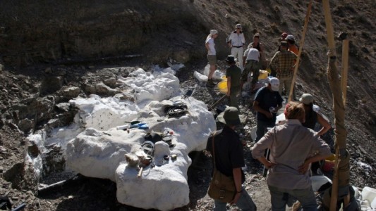 Chubut: descubrieron en una especie de dinosaurio que ayuda a comprender el período volcánico