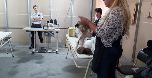 Mujeres privadas de libertad de una cárcel bonaerense donaron 180 pelucas para pacientes oncológicos