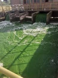 Se inició la recuperación del abastecimiento de agua en la región de La Plata