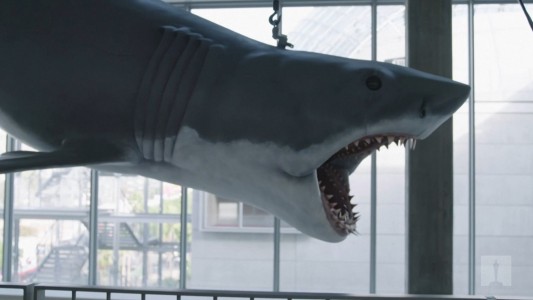 El tiburón que más miedo produjo ya espera en el museo