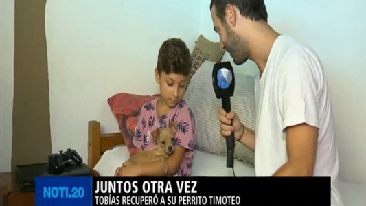 Aparecio "Timoteo", el perrito que era buscado por Tobías de 6 años