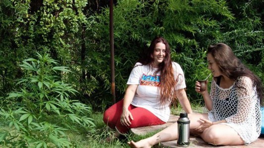 Le dieron prisión domiciliaria a la mujer que tenía plantas de cannabis para uso medicinal