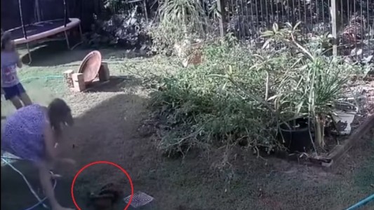 Video: la mujer que salvó a su perrito del ataque de una pitón