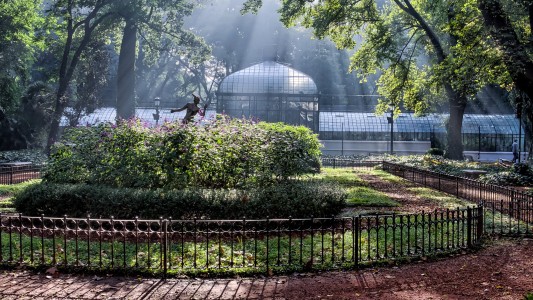 Lo acusaron de enterrar cadáveres en el Botánico, estuvo preso y era inocente