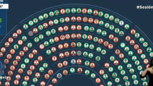 Diputados dio media sanción al proyecto de legalización del aborto