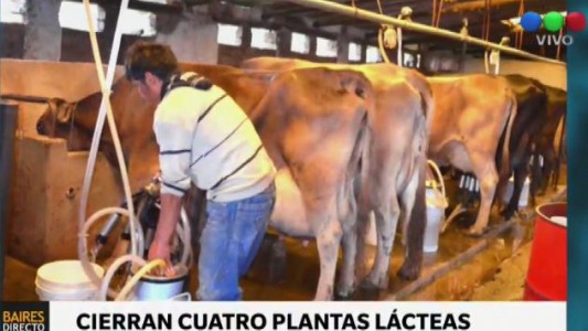 Cierran cuatro plantas lácteas: 500 trabajadores cesantes