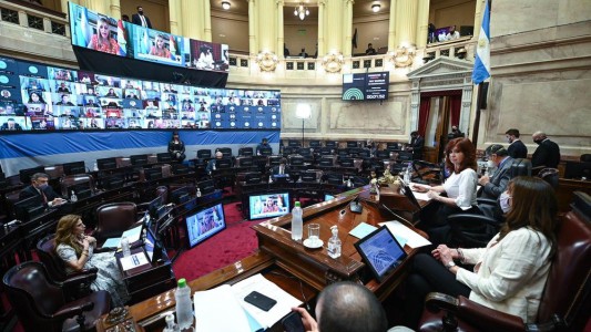 Aborto: el proyecto logró dictamen en el Senado